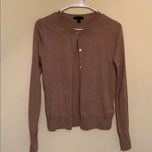 Light Brown J. Crew Sweater